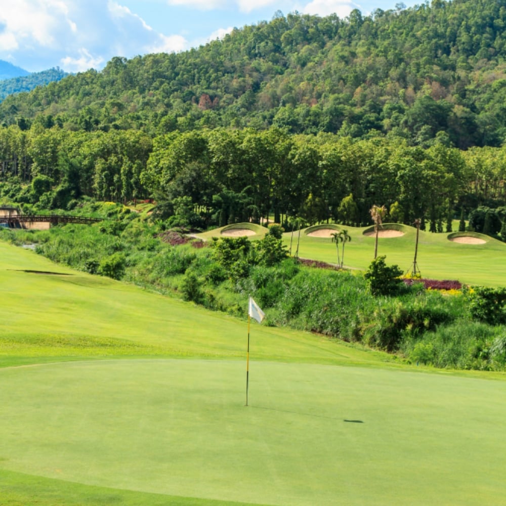 Golf course | MDSI