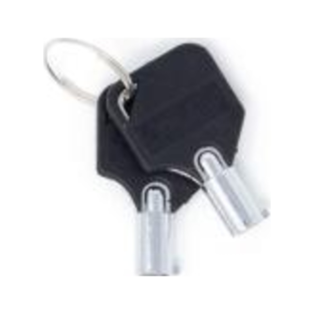 Cubix AED cabinet alarm keys, set of two Cubix AED cabinet alarm keys, set of two